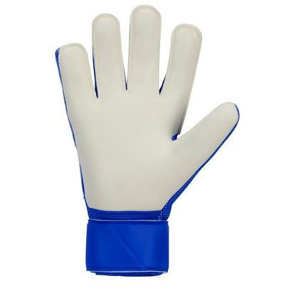 Nike Men's Goalkeeper Gloves